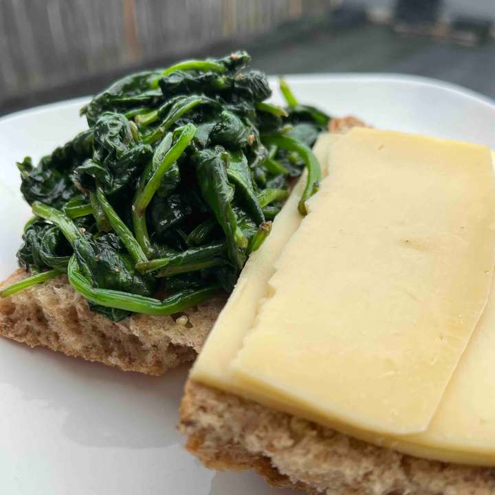 spinach cheese sandwich