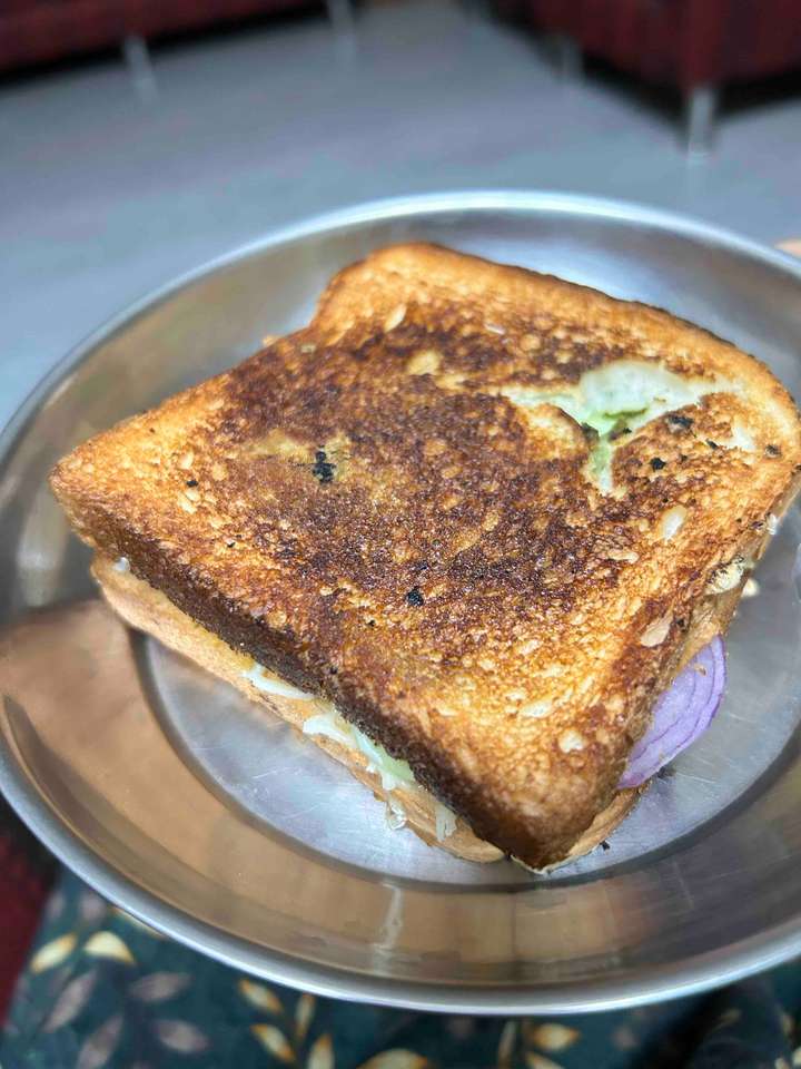 cheese and veggie sandwich 