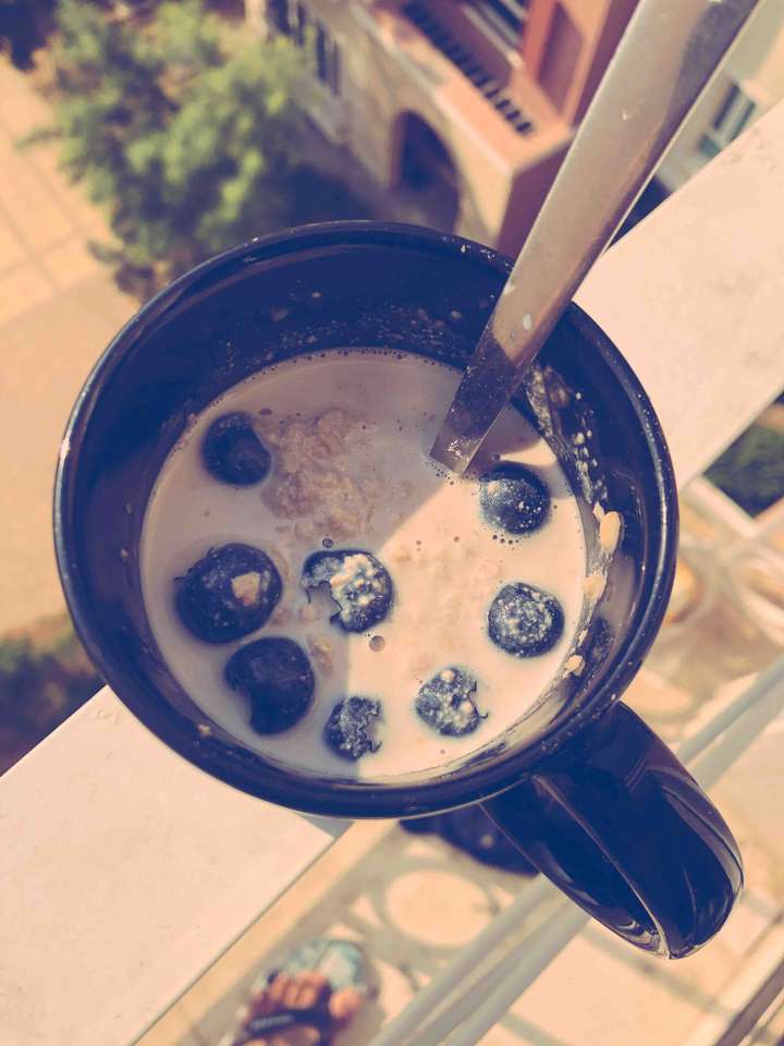 protein oats 