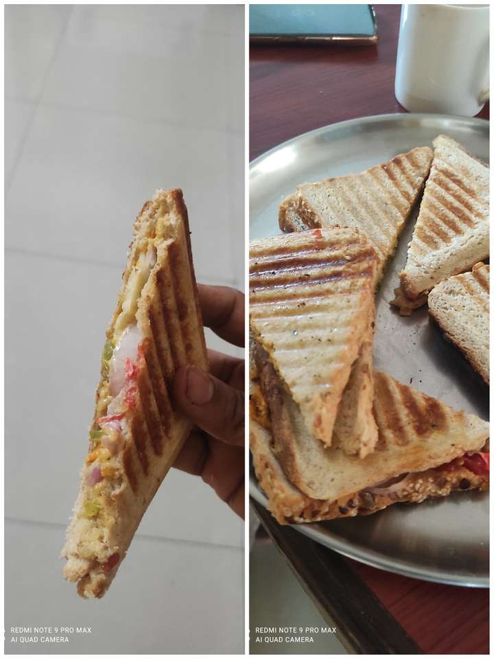 Grilled paneer veg cheese sandwich