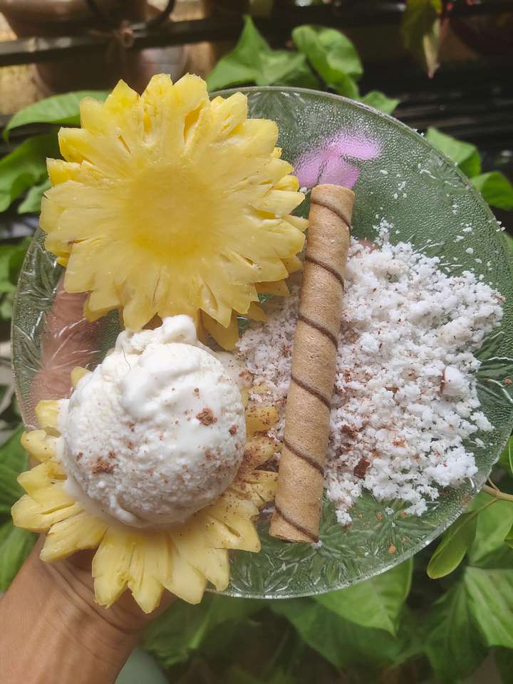 Coconut pineapple protien Sundae