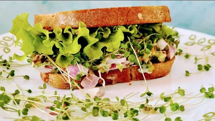 Fresh Sourdough Microgreens Sandwich