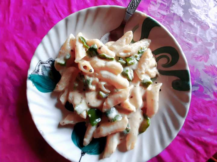Pasta in white sauce