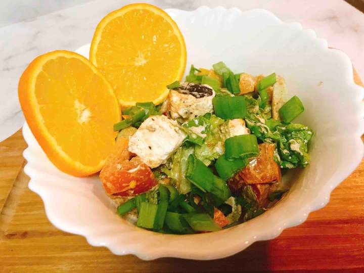 Paneer salad with yogurt and orange dressing 
