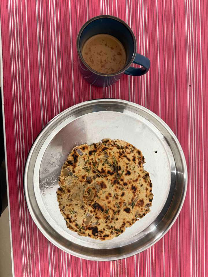 PROTI(Protein roti )