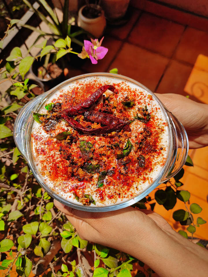 Dahi Vada (Easy, high protein, super tasty & super delicious!)