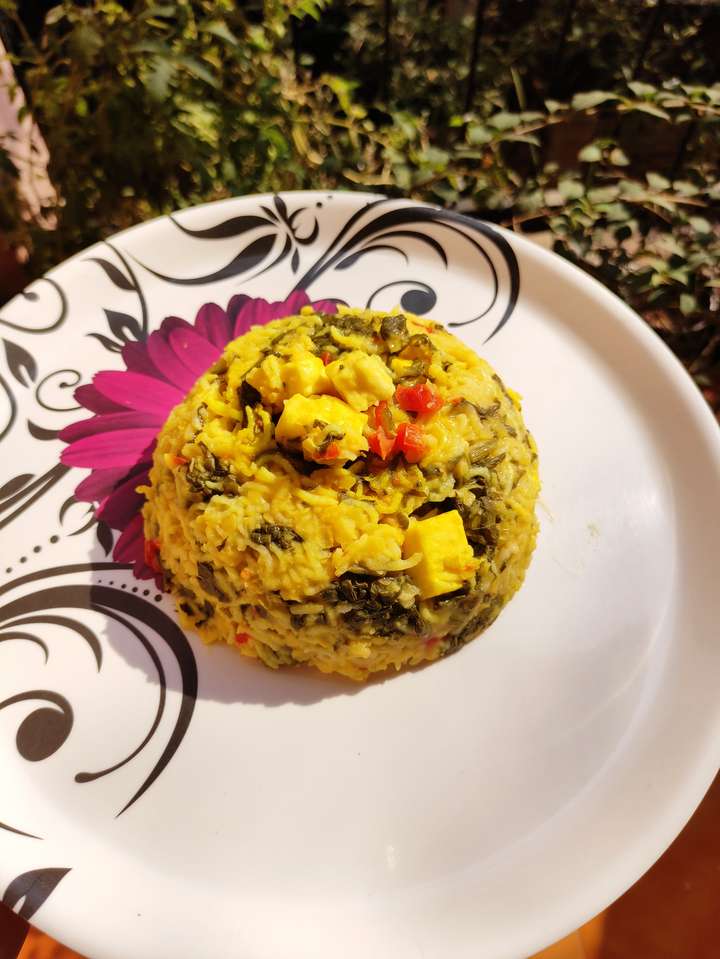 Palak Paneer Khichdi (Simple one pot meal) (15 mins cook time!)