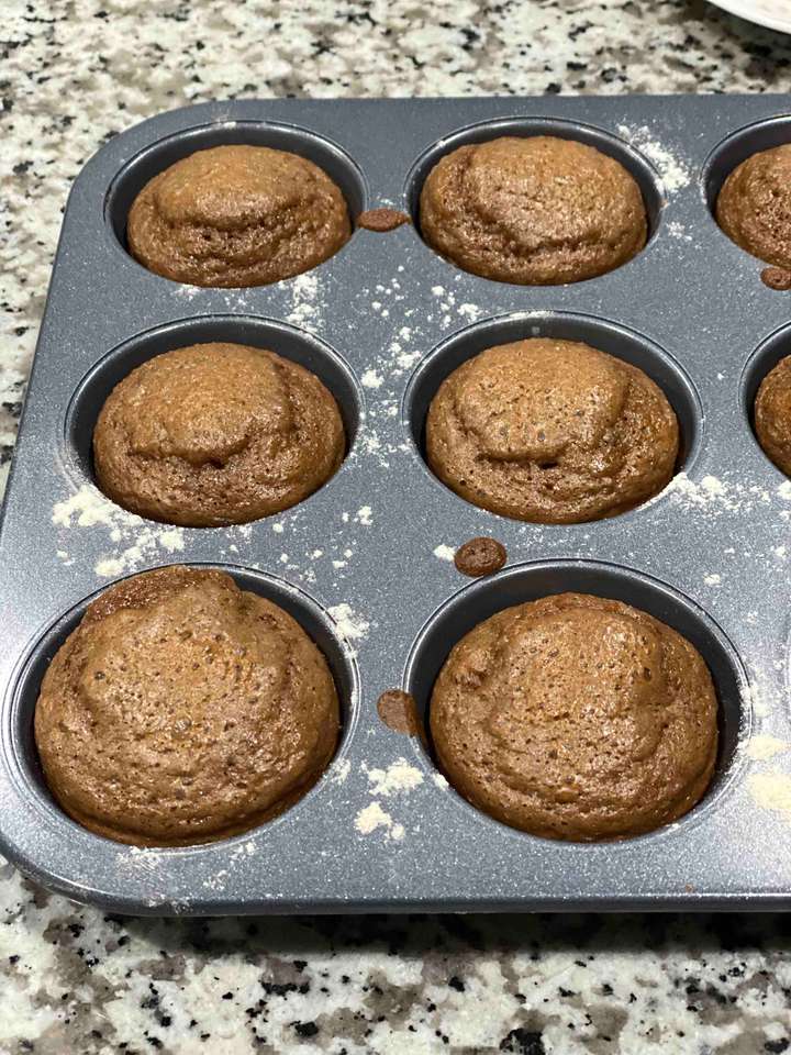 Protein Cup Cakes 