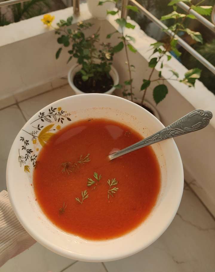 Tomato soup