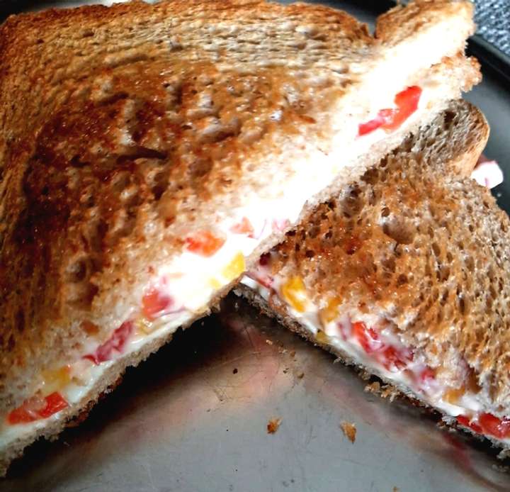 Veg Cheesy Mayonnaise Sandwich 