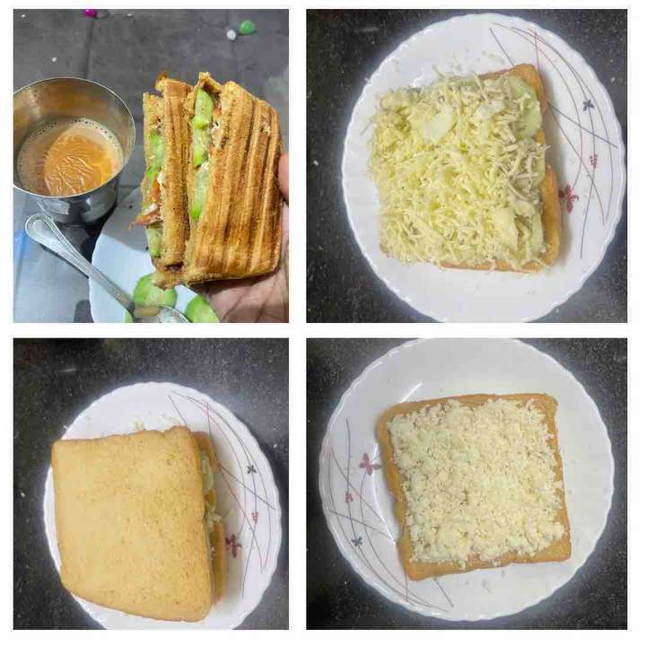 Delcious Grilled Sandwich