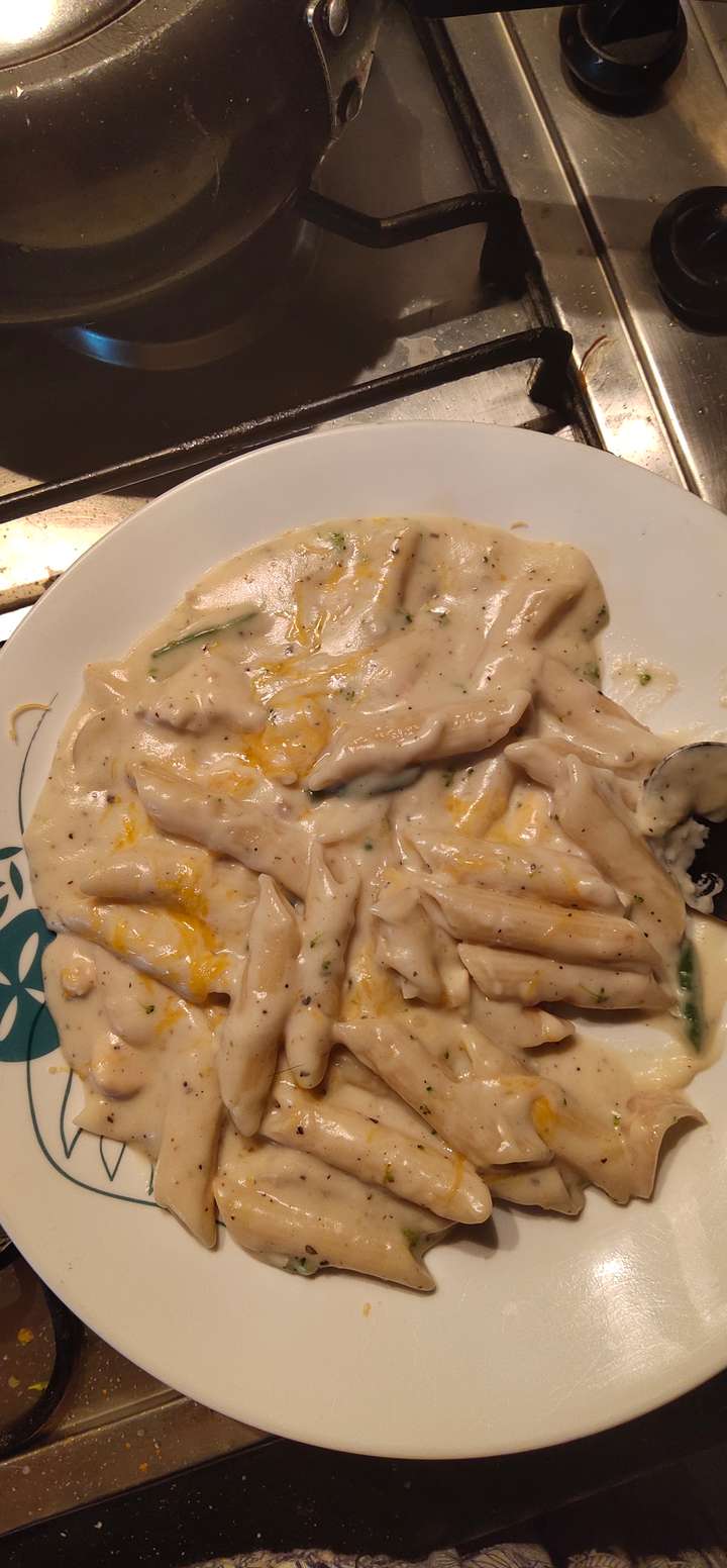 Creamy white sauce pasta