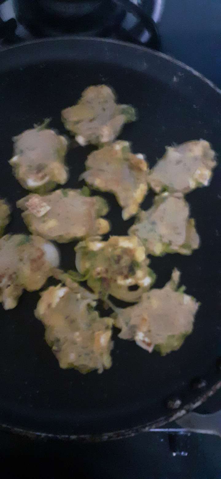 oats  paneer veg.pakoda 