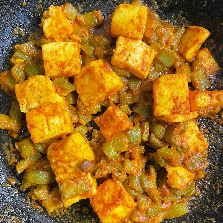 Paneer Sponge Guard 