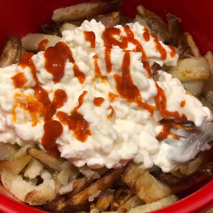 Macro Friendly Loaded Fries
