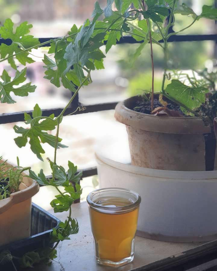 Desi Shots 


aka
Kahwa