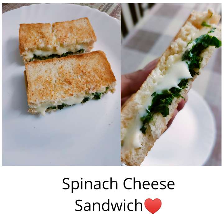 Spinach Cheese Sandwich