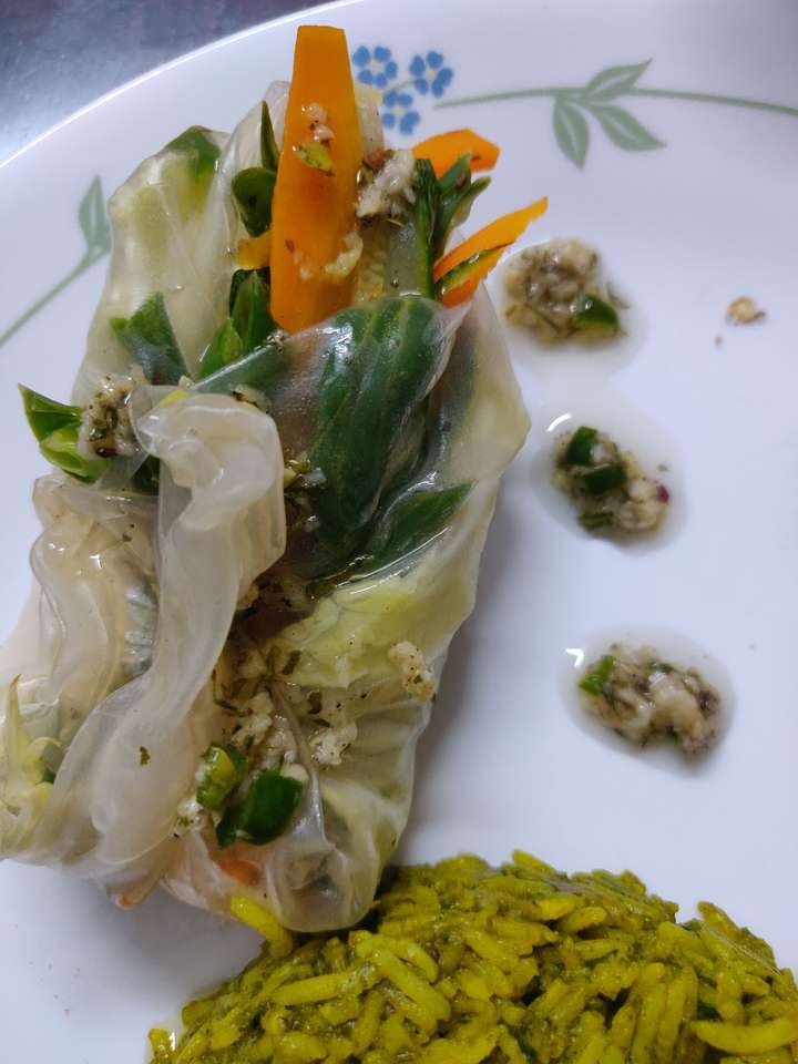 Grilled vegetables spring  roll