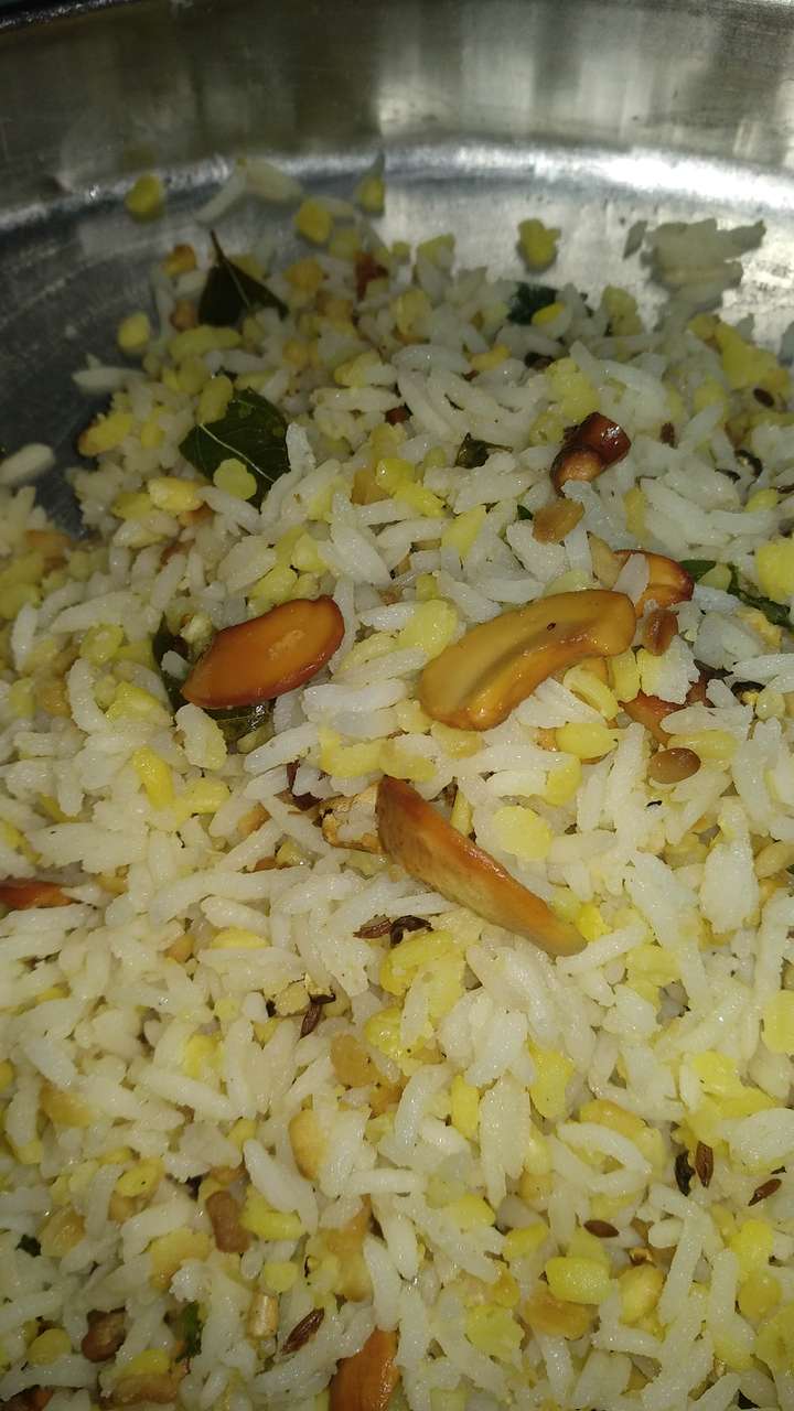pongal