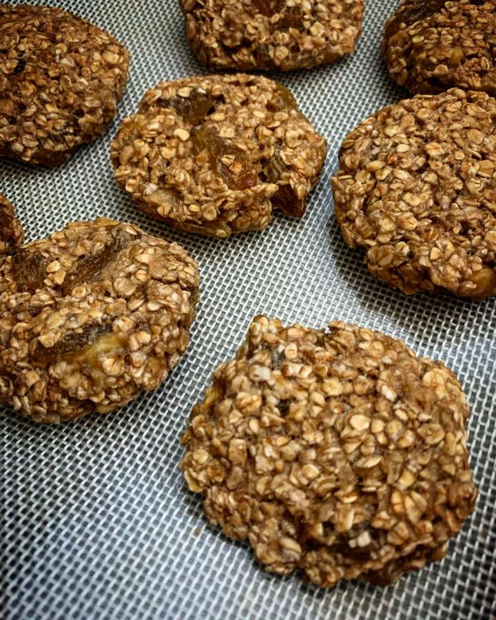 Oat Raisin Cookie